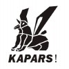 Кузовные запчасти KAPARS (Тайвань) Кузовные запчасти KAPARS (Тайвань)