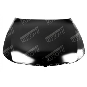 КАПОТ - фото