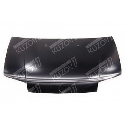 Капот TYG для FIAT PUNTO 1999-2003 - фото