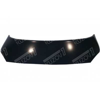 Капот TYG для RENAULT SCENIC 2003-2006 - фото