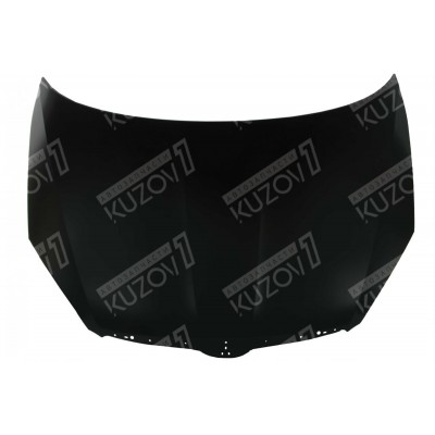 Капот, (оцинковано) ORAN для SKODA FABIA 2007-2010 - фото